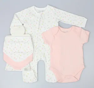 Baby Girl Clothing 'Flowers' Five Piece Gift Set (0-9 months)