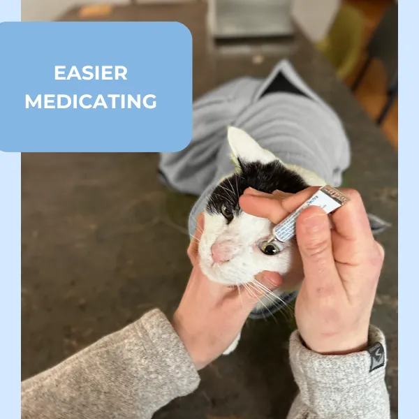 Irregular - Medium Calm & Cozy Cat Wrap