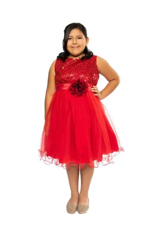 Sequin Party Plus Size Girls Dress with 3D Mesh Flower and Sash