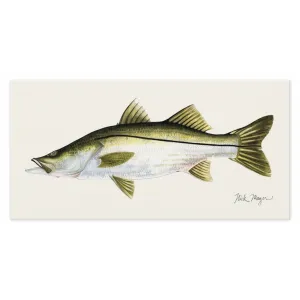 Snook Canvas Print