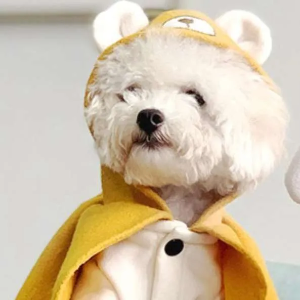 Stylish Small Dog Cape Costume | Lovely Bear and Fox