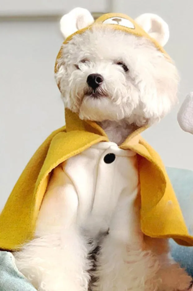 Stylish Small Dog Cape Costume | Lovely Bear and Fox